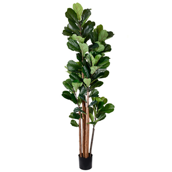Imagem PLANTA DECORATIVA FICUS LIRATA FOLHAS VERDE EM PLÁSTICO 210X60 CM - GRILLO