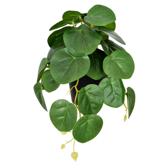 Imagem ARRANJO DECORATIVO DE FOLHAS PERMANANTES VERDE NO VASO EM PLÁSTICO 19X20CM - GRILLO