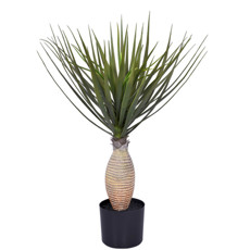 Imagem de PLANTA PERMANENTE CICUS VERDE COM POTE EM PLÁSTICO 70X40CM - GRILLO - Grillo Ltda