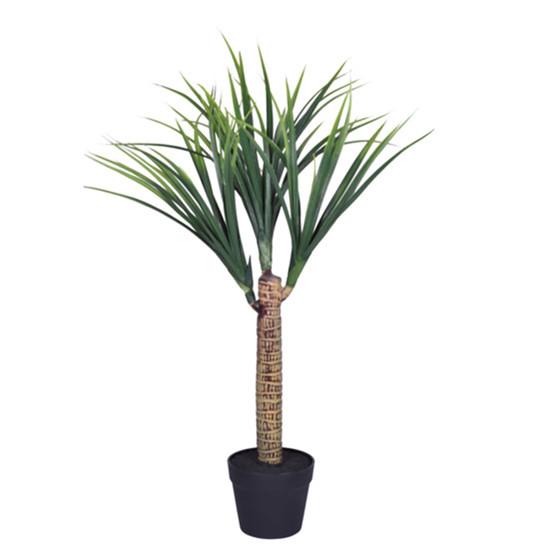 Imagem PLANTA PERMANENTE DRACENA SILVESTRE VERDE EM PLÁSTICO COM POTE 90X42CM - GRILLO