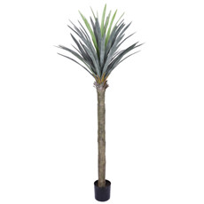 Imagem de PLANTA PERMANENTE SISAL COM FOLHAS VERDE EM PLÁSTICO E TRONCO EM PVC 200X90CM - GRILLO - Grillo Ltda