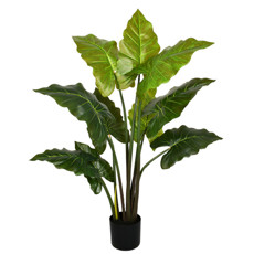 Imagem de PLANTA PERMANENTE FOLHAS TARO GIGANTE TOQUE REAL VERDE EM PLÁSTICO COM POTE - GRILLO - Grillo Ltda