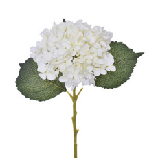 Imagem de HASTE DECORATIVA DE HORTENSIA CREME EM PLÁSTICO MOLDÁVEL 52X26CM - GRILLO - Grillo Ltda