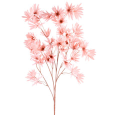 Imagem de HASTE DECORATIVA DE MARGARIDA SILVESTRE ROSA OUTONO EM PLÁSTICO MOLDÁVEL - GRILLO - Grillo Ltda