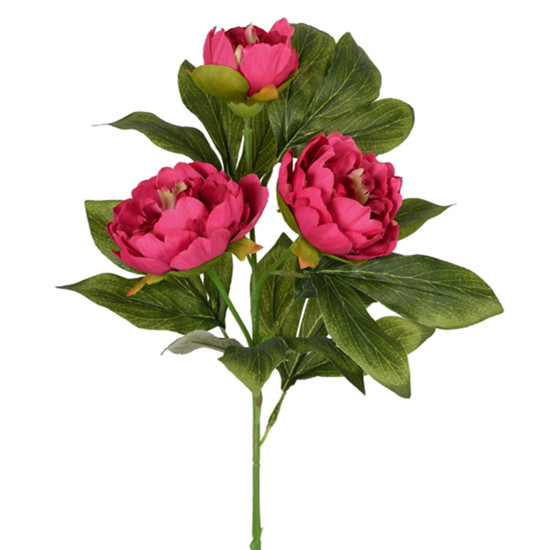 Imagem HASTE DECORATIVA DE PEÔNIA DO CAMPO ROSA ESCURO EM PLÁSTICO MOLDÁVEL 78X21CM GRILLO