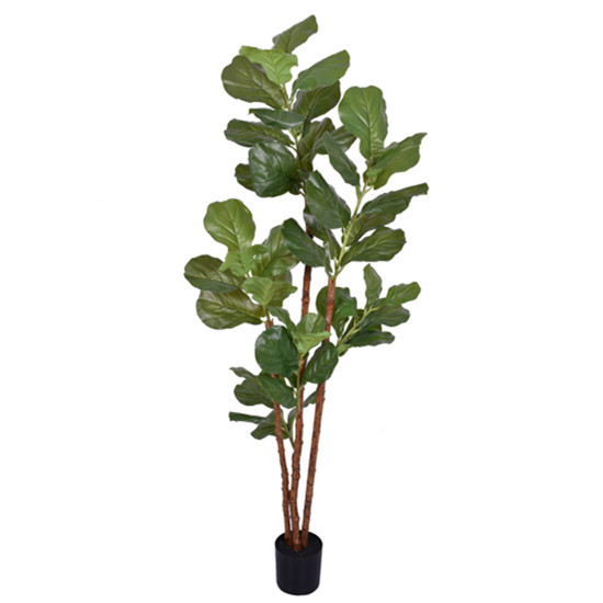 Imagem PLANTA FICUS LIRATA TOQUE REAL COM FOLHAS VERDES EM PVC E TRONCO EM PLÁSTICO - GRILLO