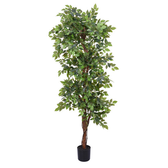 Imagem PLANTA FICUS TOQUE REAL VERDE COM FOLHAS EM PLÁSTICO E TRONCO NATURAL - GRILLO