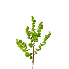 Imagem de FOLHAGEM ARTIFICIAL COR VERDE 97CM - GRILLO 58940 - Grillo Ltda