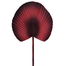 Imagem de HASTE DECORATIVA FOLHA DE PALMEIRA LEQUE MARSALA EM PLÁSTICO MOLDÁVEL 54X25 CM - Grillo Ltda
