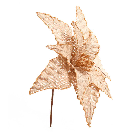 Imagem HASTE DECORATIVA DE POINSÉTIA MARROM CLARO 32X11,5X11,5CM - CROMUS