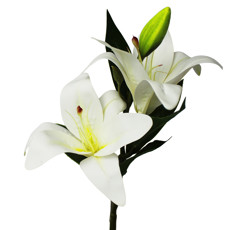 Imagem de HASTE DECORATIVA DE LÍRIOS BRANCOS E FOLHAS VERDES DE PLÁSTICO 38X14CM - GRILLO - Grillo Ltda
