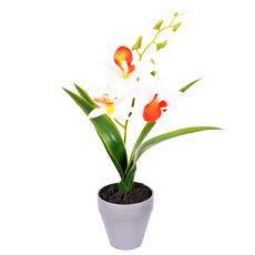 Imagem de ARRANJO DECORATIVO DE ORQUÍDEA DENDROBIUM BRANCA DE PLÁSTICO NO POTE - GRILLO - Grillo Ltda