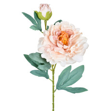 Imagem de HASTE DECORATIVA DE PEÔNIA CREME DE PLÁSTICO MOLDÁVEL 66X15X16CM - GRILLO - Grillo Ltda