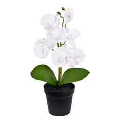 Imagem de ARRANJO DECORATIVO DE ORQUÍDEA BRANCA DE PLÁSTICO 28X16CM - GRILLO - Grillo Ltda