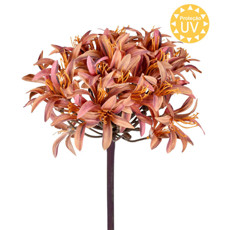 Imagem de HASTE DECORATIVA DE AGAPANTHUS MARROM OUTONADO DE PLÁSTICO MOLDÁVEL - GRILLO - Grillo Ltda